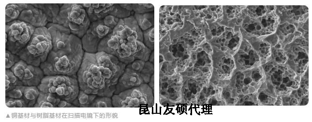 张掖蔡司张掖扫描电镜